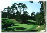Spyglass