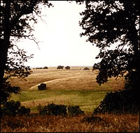 Whitney Oaks Golf Club